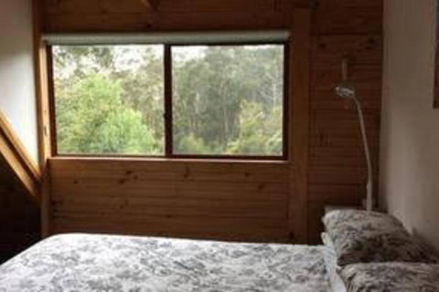 Tree Tops Cascades - Northern Rivers Accommodation 5