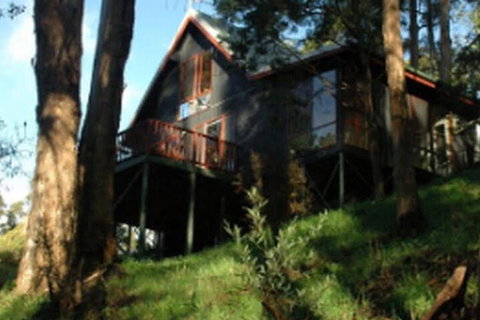 Tree Tops Cascades - Northern Rivers Accommodation 7