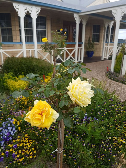 Grovely House Bed & Breakfast - Northern Rivers Accommodation 3
