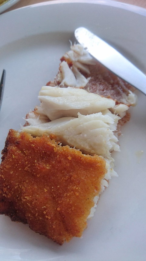 Burleigh Tropicana - Northern Rivers Accommodation 2