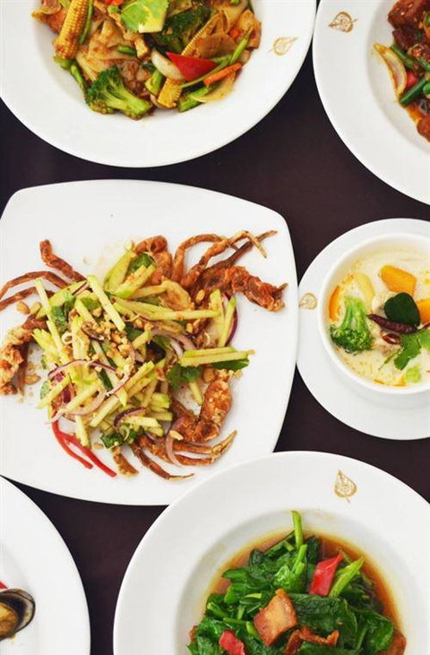 Jaipur Maharaja - Northern Rivers Accommodation 4