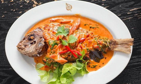 Jaipur Maharaja - Northern Rivers Accommodation 7