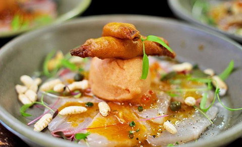 Lord Cardigan - Northern Rivers Accommodation 13