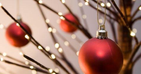 Lord Cardigan - Northern Rivers Accommodation 21