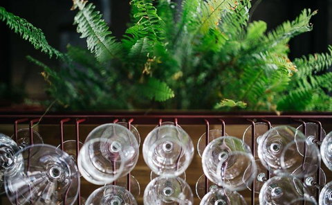 Lord Cardigan - Northern Rivers Accommodation 4