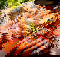 Table 30 - Northern Rivers Accommodation