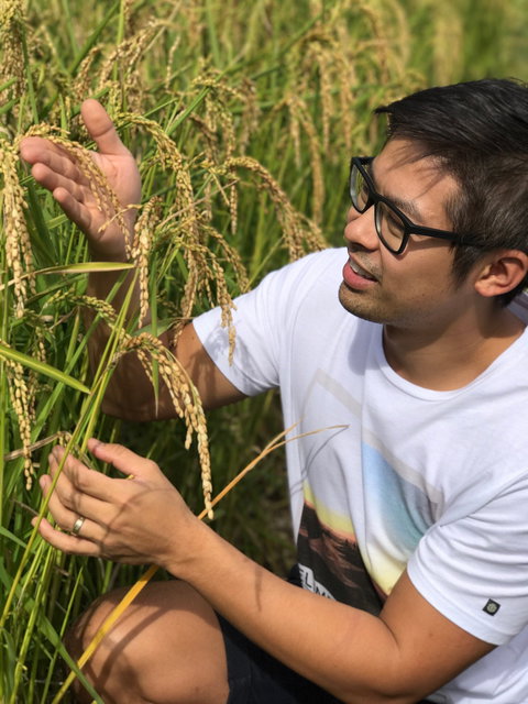 Thai Tamarind - Northern Rivers Accommodation 3