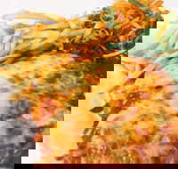 The Water Rat Hotel - Northern Rivers Accommodation