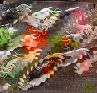 Toshi's Japanese Restaurant - Northern Rivers Accommodation