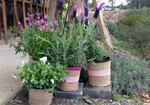 Amongst The Sticks - Northern Rivers Accommodation 1