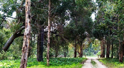 Arimia Restaurant And Winery - Northern Rivers Accommodation 7