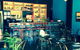 Mexico City Bentleigh - thumb 0
