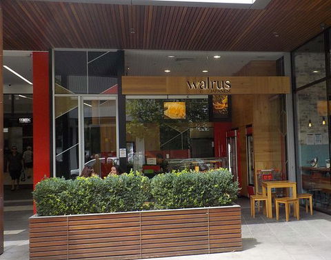 Walrus - Japanese - Northern Rivers Accommodation 0