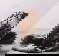 Only Mine - Northern Rivers Accommodation