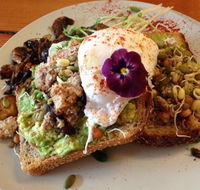 Waratah Organics - Northern Rivers Accommodation
