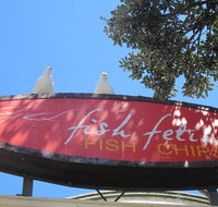 Fish Fetish - Northern Rivers Accommodation