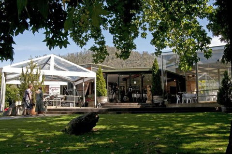 Annapurna Estate Vineyard - Northern Rivers Accommodation 0