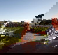 Gapsted Wines - Northern Rivers Accommodation