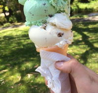 The Rainbow Ice Cream Shop - Northern Rivers Accommodation