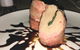 Buster Brown Cafe - thumb 0