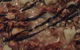 Osteria Di Russo & Russo - thumb 0