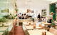 The Walrus Cafe - thumb 0