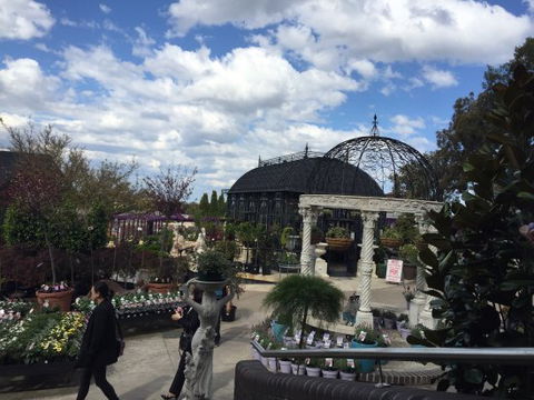 Cafe Harvest @ BGC - Northern Rivers Accommodation 0