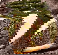 Cento 22 - Northern Rivers Accommodation