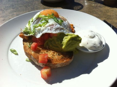 Bellyfish Cafe - Northern Rivers Accommodation 0