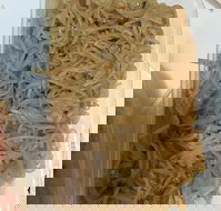 Quick Thai Restaurant - Northern Rivers Accommodation