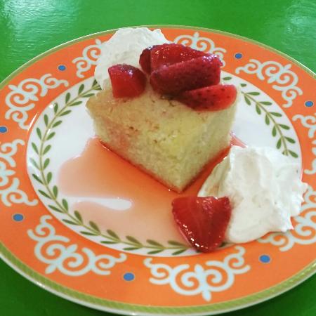 The Terrace Tea Shop - Northern Rivers Accommodation 0