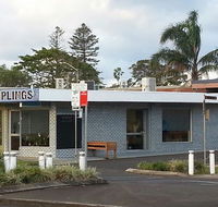 Dumplings  Yum Cha - Northern Rivers Accommodation