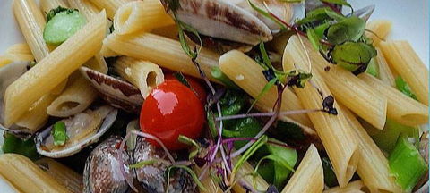 Jannat Authentic Indian Restaurant - Northern Rivers Accommodation 13