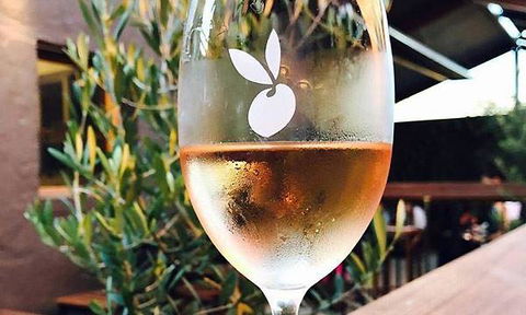 Jannat Authentic Indian Restaurant - Northern Rivers Accommodation 15