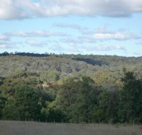 U Saucey Thing - Northern Rivers Accommodation