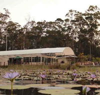 Abundance Cafe and Garden Centre - Northern Rivers Accommodation