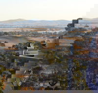 DogRock Winery - Northern Rivers Accommodation
