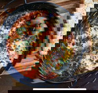 Shuk - Elizabeth Bay - Northern Rivers Accommodation