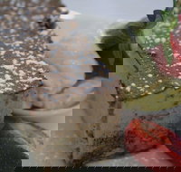 Taste of Tuscany - Northern Rivers Accommodation