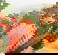 Raavi's Cumin - Northern Rivers Accommodation