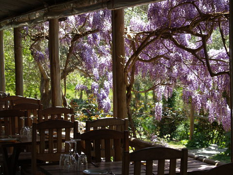 Skillogalee Winery & Restaurant - Northern Rivers Accommodation 2