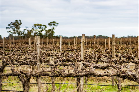 The Blok Coonawarra - Northern Rivers Accommodation 1