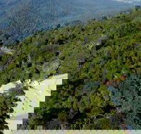 Canopy Cafe - Northern Rivers Accommodation