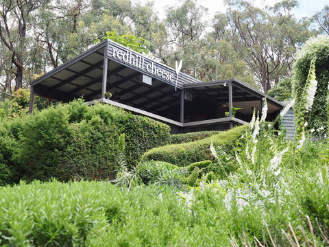 Red Hill Cheese - Northern Rivers Accommodation 2