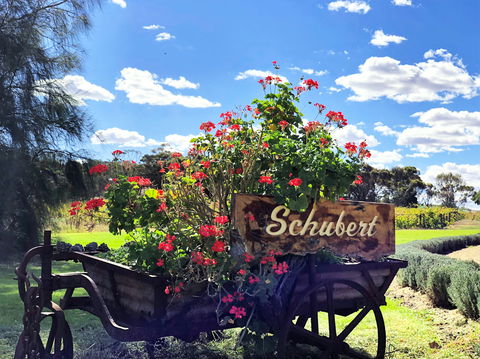 Schubert Estate - Northern Rivers Accommodation 2