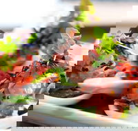 Garfish - Crows Nest - Northern Rivers Accommodation