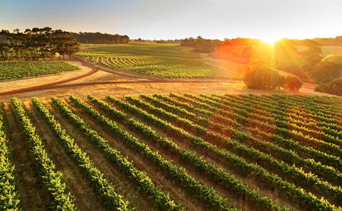 Leeuwin Estate - Northern Rivers Accommodation 1