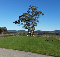 Nepenthe Wines - Northern Rivers Accommodation