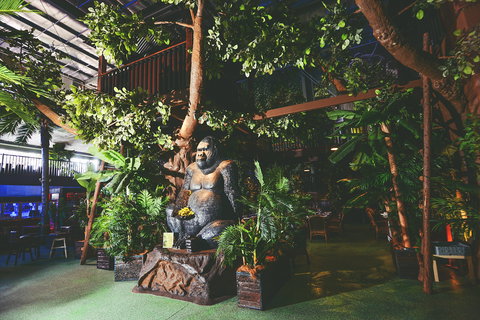 The Jungle - Kent Town Hotel - Northern Rivers Accommodation 0