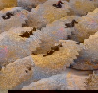 Miami Bakehouse Mandurah - Northern Rivers Accommodation